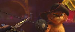 film - Kocour v�bot�ch
