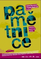 film - Pam�tnice