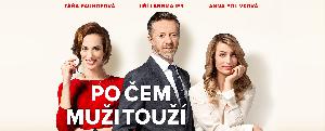 film - Po čem muži touží
