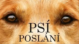 film - Psí poslání