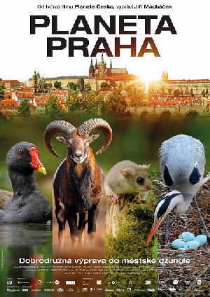 film - Planeta Praha /film ČR