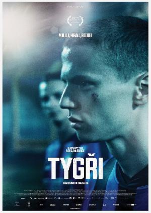 film - Tygři